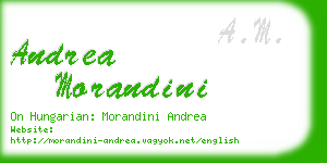 andrea morandini business card